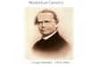 Gregor Mendel – 1822-1884 Mendelian Genetics. Asexual Reproduction Bacteria can reproduce as often as every 12 minutes – and may go through 120 generations