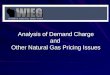Analysis of Demand Charge and Other Natural Gas Pricing Issues