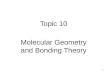 1 Topic 10 Molecular Geometry and Bonding Theory