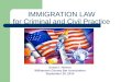 IMMIGRATION LAW for Criminal and Civil Practice Susan I. Nelson Williamson County Bar Association September 26, 2014