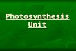 Photosynthesis Unit. Energy Flow through an Ecosystem
