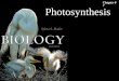 Photosynthesis Chapter 07. Photosynthesis 2Outline Flowering Plants Photosynthetic Pigments Photosynthesis  Light Reactions Noncyclic Cyclic  Carbon