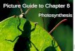 Picture Guide to Chapter 8 Photosynthesis. 8-1 Energy and Life