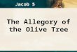 Jacob 5 The Allegory of the Olive Tree. “The parable of Zenos, recorded by Jacob in chapter five of his book, is one of the greatest parables ever recorded