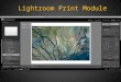 Lightroom Print Module. Click: Page Setup Lower left panel For most prints, choose “Maximize Size”