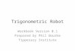 Trigonometric Robot Workbook Version 0.1 Prepared by Phil Bourke Tipperary Institute
