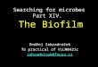 Searching for microbes Part XIV. The Biofilm Ondřej Zahradníček To practical of VLLM0421c zahradnicek@fnusa.cz