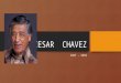 CESAR CHAVEZ 1927 - 1993. Cesar Chavez spent the first ten years of his life on a small farm near Yuma, Arizona. His family and most of the Mexican American