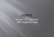 Active vs. Passive 1301 English Comp.  Expresses an  Action  Occurrence  State of Being  Reveal when something occurs  The present  The past