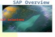 SAP Overview SAP Solutions. 2 Agenda for the overview Introduction to the SAP R/3 system SAP system’s functionality SAP implemenation methodology mySAP.com