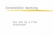 Extendible Hashing For Use as a File Structure 1