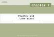 Poultry and Game Birds © 2007 Thomson Delmar Learning. All Rights Reserved. Chapter 7