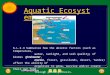 Aquatic Ecosystems 6.L.2.3 Summarize how the abiotic factors (such as temperature, water, sunlight, and soil quality) of biomes (freshwater, marine, forest,