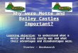 Why were Motte and Bailey Castles Important? Learning objectiveto understand what a motte and bailey castle was and what their advantages and disadvantages