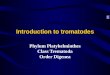 Introduction to tromatodes Phylum Platyhelminthes Class Trematoda Order Digenea