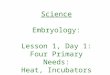 Science Embryology: Lesson 1, Day 1: Four Primary Needs: Heat, Incubators
