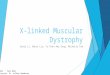X-linked Muscular Dystrophy Sonja Li, Nancy Liu, Yu Chen Amy Sung, Michelle Tam PHM142 Fall 2014 Instructor: Dr. Jeffrey Henderson