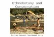 Ethnobotany and Conservation Rattan harvest Southeast Asia