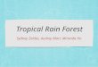 Tropical Rain Forest Sydney Zeldes, Audrey Marr, Miranda Ho