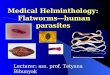 Medical Helminthology: Flatworms—human parasites Lecturer: ass. prof. Tetyana Bihunyak