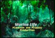 Marine Life Plankton and Primary Production. Main Concepts: Main Concepts: Marine Plankton drift, float or weakly swim  Marine plankton are marine organisms