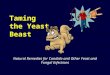 Taming the Yeast Beast Natural Remedies for Candida and Other Yeast and Fungal Infections