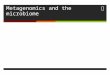 Metagenomics and the microbiome. What is metagenomics?  Looking at microorganisms via genomic sequencing rather than culturing  Environmental use