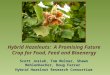 Hybrid Hazelnuts: A Promising Future Crop for Food, Feed and Bioenergy Scott Josiah, Tom Molnar, Shawn Mehlenbacher, Doug Farrar Hybrid Hazelnut Research