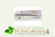 1.PONGAMIA 4 prevents the process of bio-degradation of skin. 2.PONGAMIA 4 will regulate the blood circulation in the affected areas,