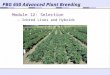 PBG 650 Advanced Plant Breeding Module 12: Selection – Inbred Lines and Hybrids