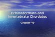 Echinodermata and Invertebrate Chordates Chapter 40