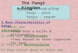 The Fungi Kingdom Mycology -the study of fungi fungi - plural fungus - singular 1) fungi are eukaryotic they have a nuclei & mitochondria 2) they are heterotrophs