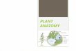 PLANT ANATOMY. The science of the structure of the organized plant body learned by dissection is called Plant Anatomy. In general, Plant Anatomy refers