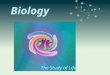 Biology The Study of Life. What is Biology in the 21 st Century? How is studying Biology different today than in the past? How does studying Biology affect