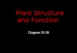 Chapters 35-39. All Plants… multicellular, eukaryotic, autotrophic, alternation of generations
