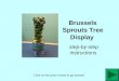 Brussels Sprouts Tree Display Click on the green arrow to go forward step-by-step instructions