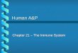 Human A&P Chapter 21 – The Immune System. Our Defense Systems b Our body has two means of defense against pathogens and toxins Innate or non-specific