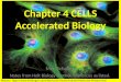 Chapter 4 CELLS Accelerated Biology Mrs. Schalles Notes from Holt Biology & other references as listed. Picture: 