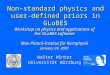 Non-standard physics and user- defined priors in GLoBES Workshop on physics and applications of the GLoBES software Workshop on physics and applications
