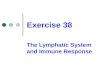 Exercise 38 The Lymphatic System and Immune Response