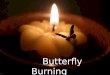 Butterfly Burnin Butterfly Burning By Yvonne Vera