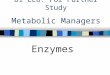 U1 LE6: For Further Study Metabolic Managers Enzymes