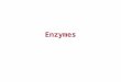 Enzymes. REACTIONS AND ENZYMES Endergonic and exergonic Energy releasing processes, ones that "generate" energy, are termed exergonic reactions. Reactions