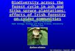 Biodiversity across the forest cycle in ash and Sitka spruce plantations: effects of Irish forestry on spider communities Anne Oxbrough, Tom Gittings,