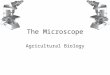 The Microscope Agricultural Biology. The Microscope Two major types of microscopes based on energy used by device: 1.Light microscope Uses visible light