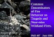 Common Denominators of Fire Behavior on Tragedy and Near-miss Wildland Fires. PMS 407 June 1996 Thirtymile Fire 2001 Fatality Site