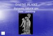 DAFNE PLANT Dynamic natural gas Dew - pointing