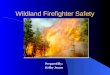 Wildland Firefighter Safety Prepared By: Kelley Jensen