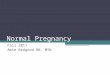 Normal Pregnancy Fall 2011 Amie Bedgood RN, MSN. Physiological Changes in the Reproductive Organs Uterus enlargement -- 2 ounces to 2 pounds rises out