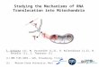 Studying the Mechanisms of RNA Translocation into Mitochondria T. Schirtz (1), M. Vyssokikh (1,2), O. Kolesnikova (1,2), N. Entelis (1), I. Tarassov (1)